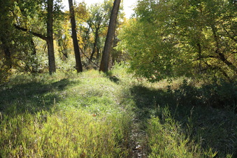 Enlarge photo 53