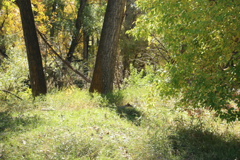 Enlarge photo 54