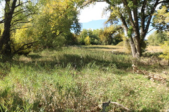 Enlarge photo 56