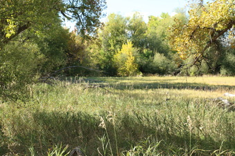 Enlarge photo 57
