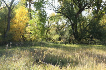 Enlarge photo 60