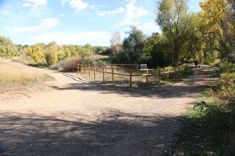 Enlarge photo 61