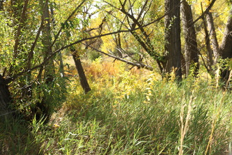 Enlarge photo 64
