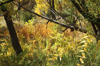 Enlarge photo 65