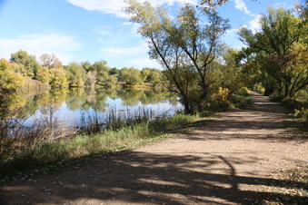 Enlarge photo 66