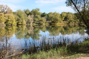 Enlarge photo 67
