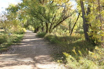 Enlarge photo 68