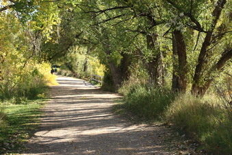 Enlarge photo 69