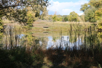 Enlarge photo 70