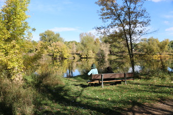 Enlarge photo 71