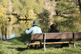 Enlarge photo 72