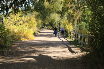 Enlarge photo 74