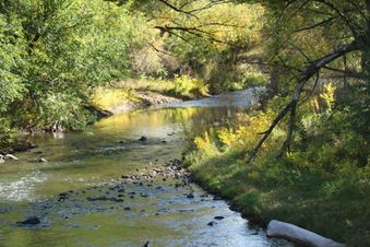 Enlarge photo 77
