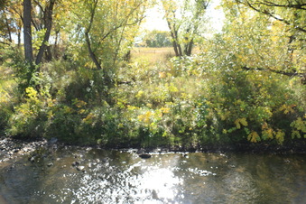 Enlarge photo 78