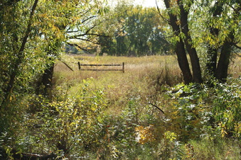 Enlarge photo 79
