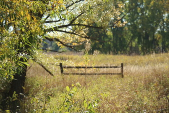 Enlarge photo 80