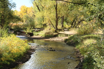 Enlarge photo 82