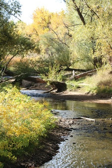 Enlarge photo 83