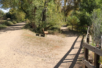 Enlarge photo 84