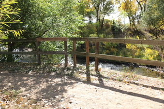 Enlarge photo 85