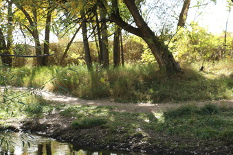 Enlarge photo 89