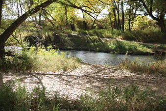 Enlarge photo 91