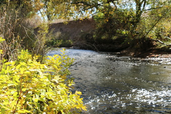 Enlarge photo 92