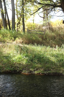 Enlarge photo 93