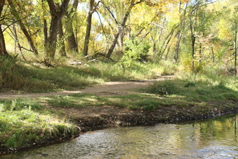 Enlarge photo 94