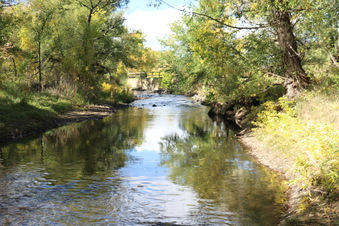 Enlarge photo 95