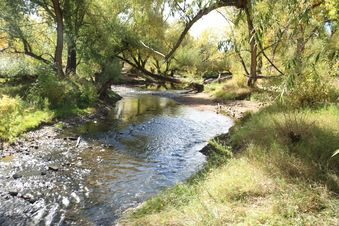 Enlarge photo 96