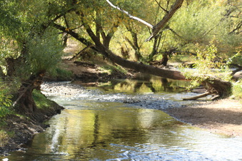 Enlarge photo 97