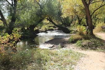Enlarge photo 98