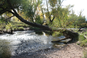 Enlarge photo 99