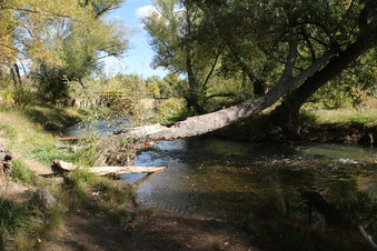 Enlarge photo 102