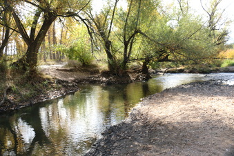 Enlarge photo 103