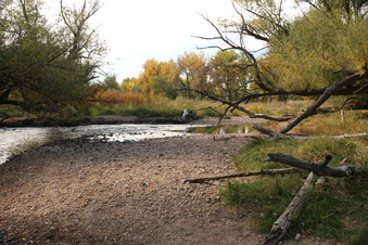 Enlarge photo 104