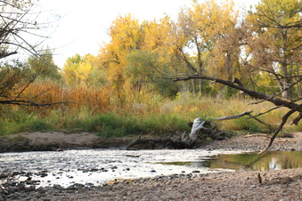 Enlarge photo 105