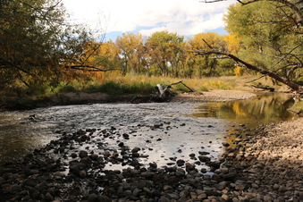 Enlarge photo 106