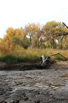 Enlarge photo 107