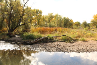 Enlarge photo 108