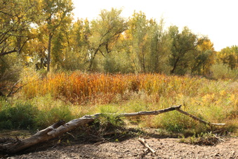 Enlarge photo 109