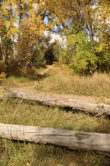 Enlarge photo 110