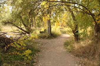 Enlarge photo 111