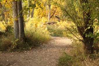 Enlarge photo 112