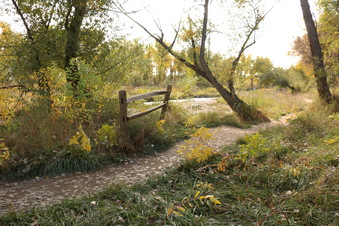 Enlarge photo 113