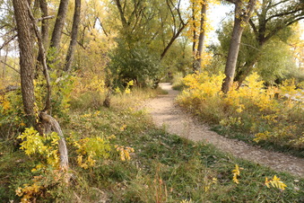 Enlarge photo 115