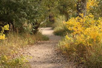Enlarge photo 116