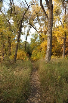 Enlarge photo 120