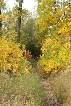 Enlarge photo 121